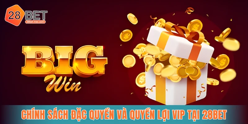 Tiền thưởng dành cho hội viên VIP bao gồm: