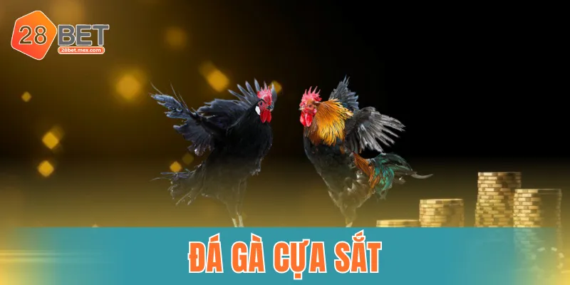đá gà cựa sắt