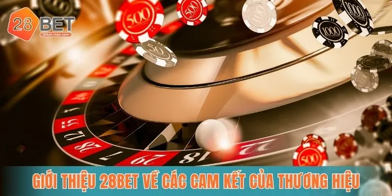 Giới thiệu 28bet về các cam kết của thương hiệu
