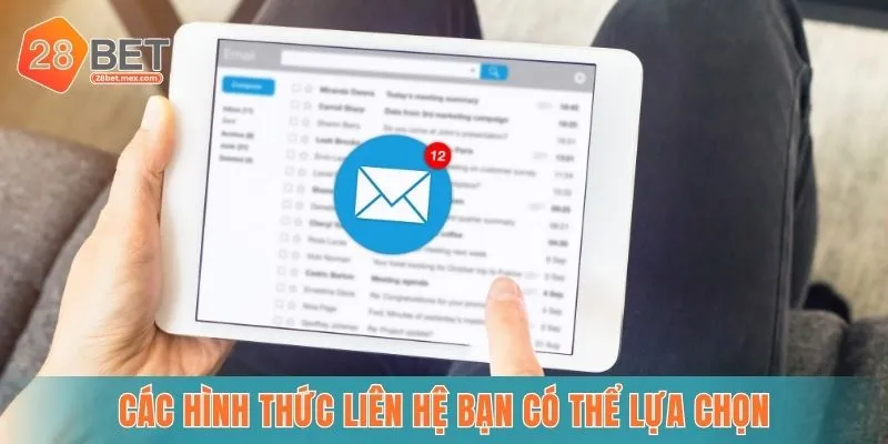 Các hình thức bạn có thể lựa chọn để phù hợp nhu cầu bản thân