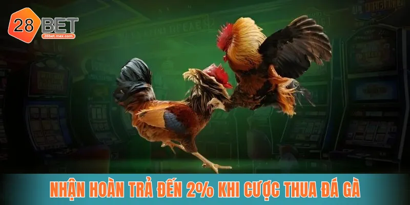 Nhận hoàn trả đến 2% khi cược thua đá gà