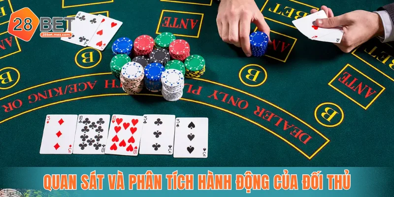 Quan sát và phân tích hành động của đối thủ