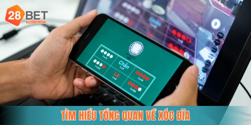 Tìm hiểu tổng quan về xóc đĩa